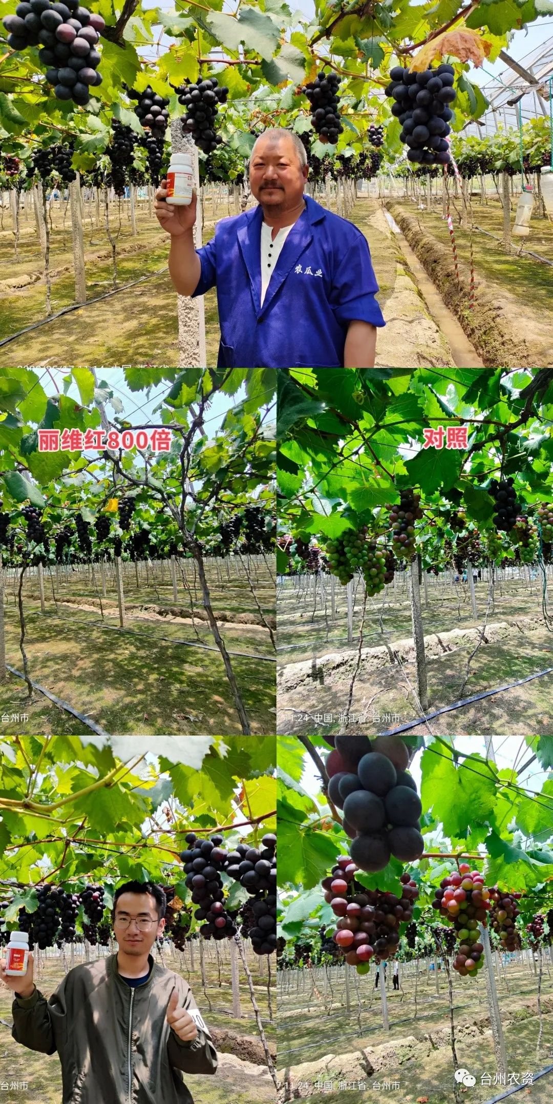 臺(tái)州農(nóng)資 臺(tái)州農(nóng)資