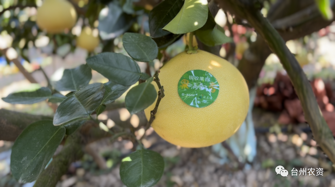 1675663391163520.png 640 (35).png