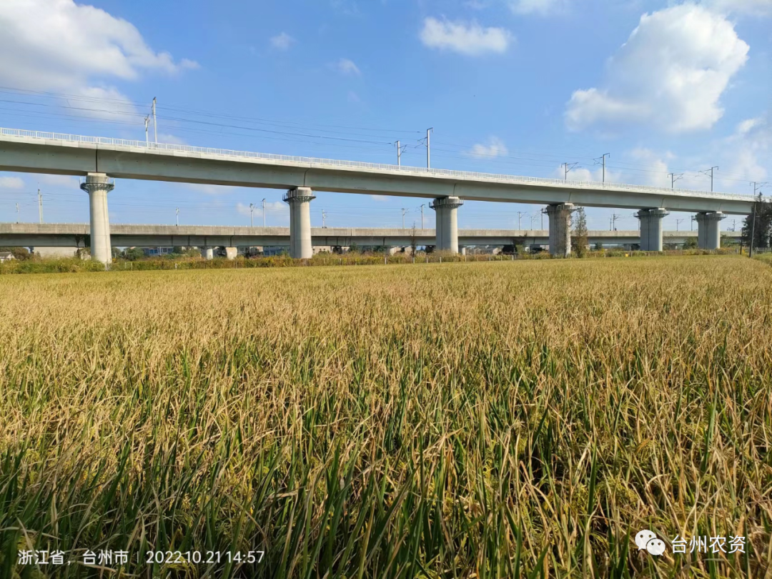 1675664078690057.png 640 (41).png